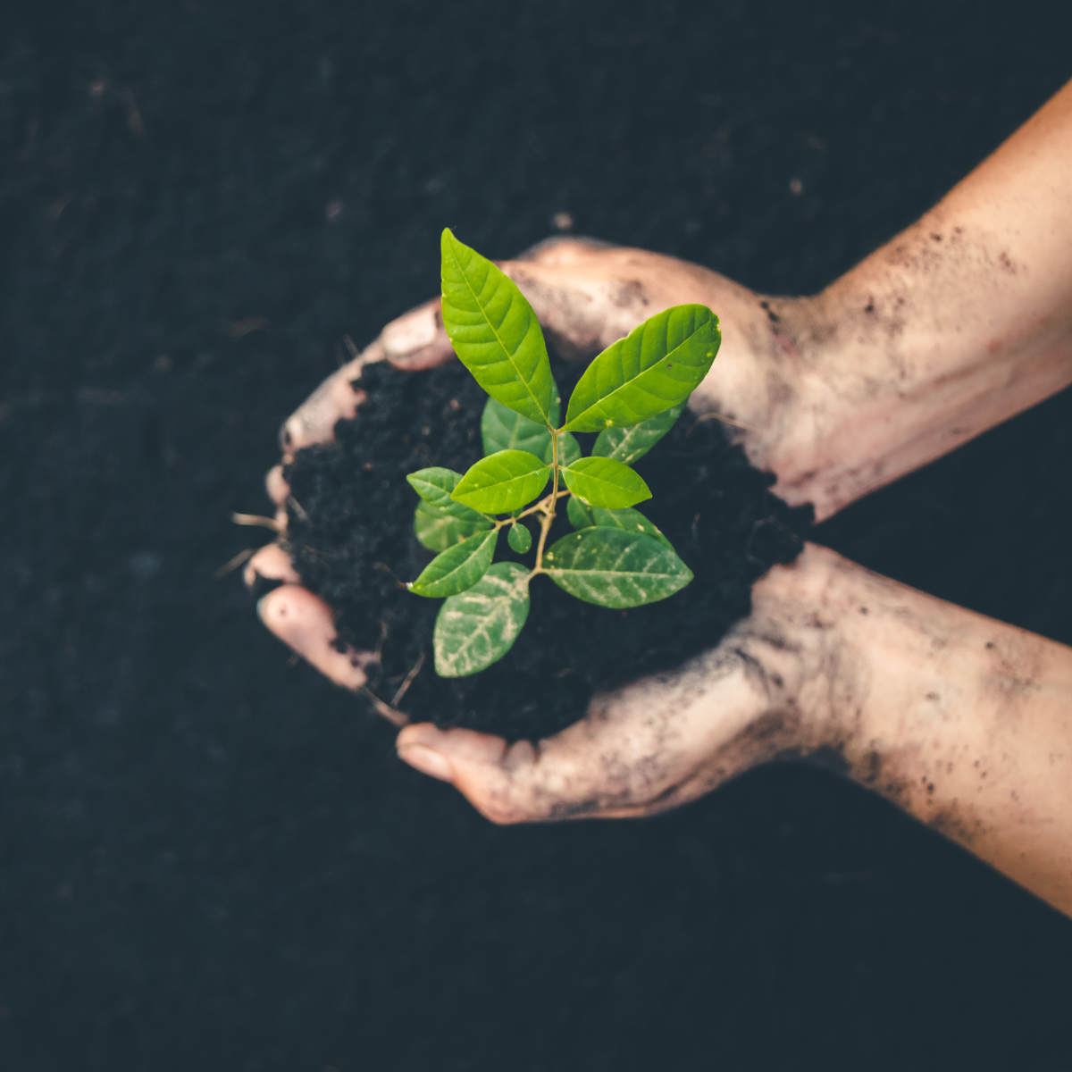 Don’t miss out on a $260 KiwiSaver contribution from the Government! 